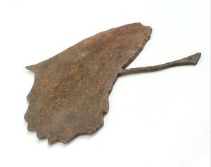 Rustic Steel Cottonwood Leaf