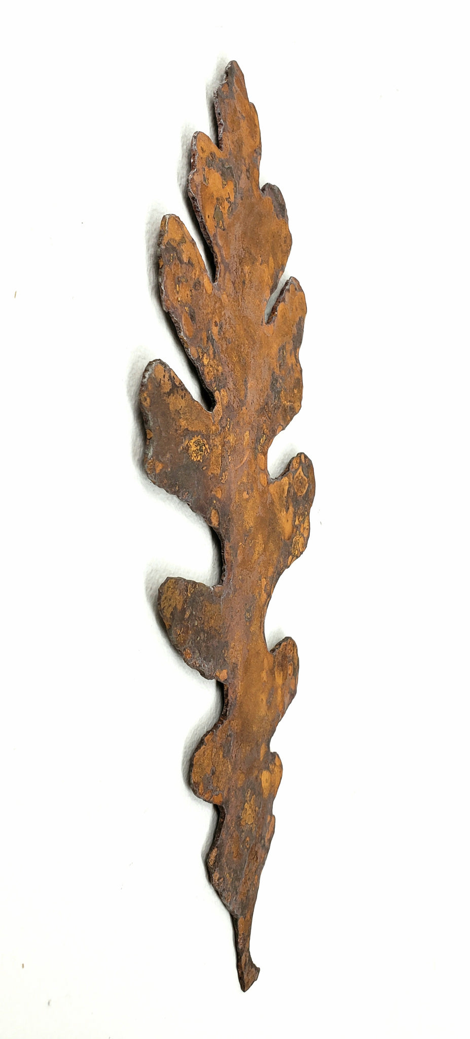 Valley oak leaf. Rustic steel. Wall decor.