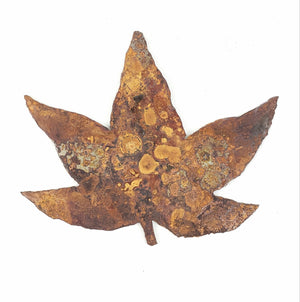 Japanese Maple Leaf. Metal Wall Decoration.