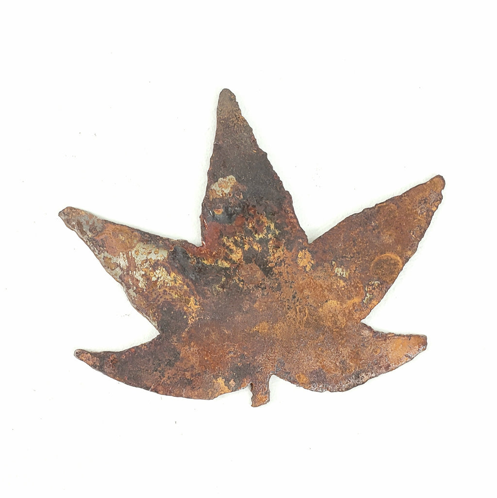 Japanese Maple Leaf