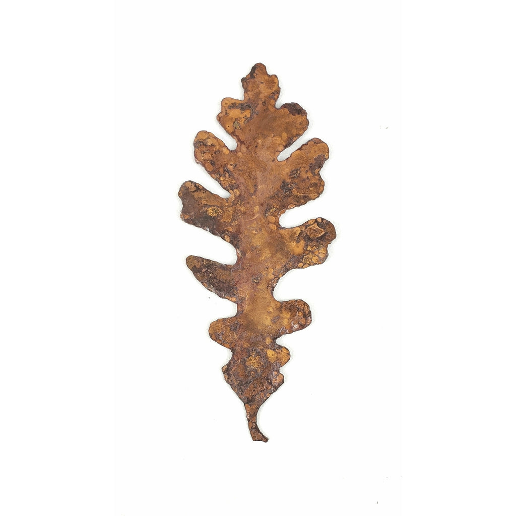 Valley oak leaf. Rustic steel. Wall decor.